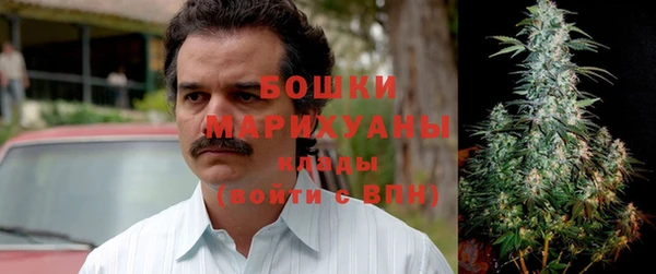 гашик Зерноград