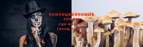 гашик Зерноград