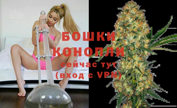гашик Зерноград