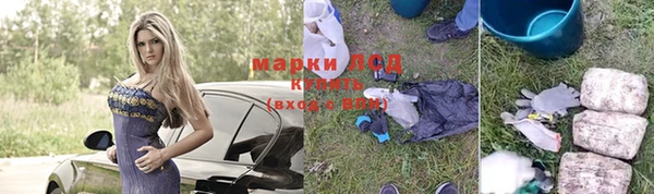гашик Зерноград